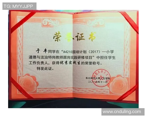 上海排球队逆袭之路揭秘总决赛背后的奋斗与荣耀