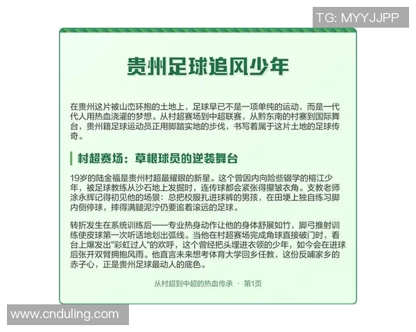 九位足球明星的传奇故事与他们在绿茵场上的辉煌成就分析