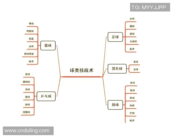 广州排球队整体压制战术解析与实战应用探讨