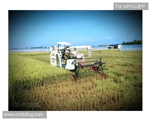 当年足球明星重返赛场看今朝他们的风采与时代的变迁 当年足球明星重返赛场看今朝他们的风采与时代的变迁