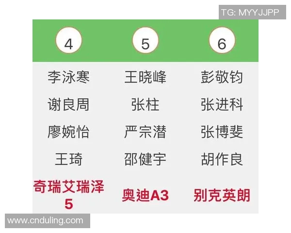 杭州足球队在冠军赛中的耐力表现分析与赛后点评