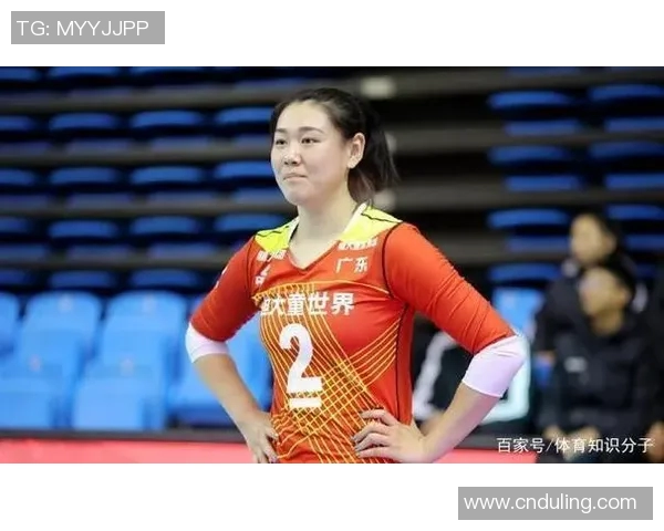 深圳排球队总决赛精彩表现分析与实力评估