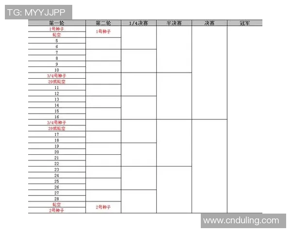深圳网球队杯赛表现分析团队配合与战术执行的关键因素探讨 深圳网球队杯赛表现分析团队配合与战术执行的关键因素探讨