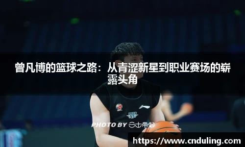 77体育在线直播官网